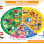 Supplements for a Balanced Diet: A Vital Resource Guide