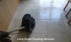 Grout Cleaners: Best Local Options in Longcross