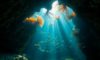 Belize Diving: Discover Incredible Underwater Wonders