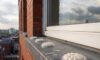 Bird Proofing Solutions: Gel Repellent Without Spikes
