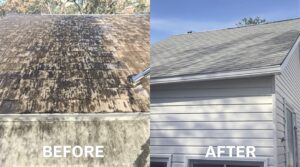 Explore the Essential Benefits of Soft Washing for Comprehensive Home Care