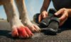 Pavement Safety for Dogs: Crucial Tips for Summer Care