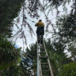 Response to Electrical Defect Notice on the Mid North Coast