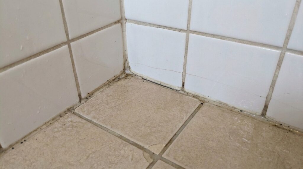 Shower Reseal: Is It a Genuine Solution or Merely a Quick Fix?